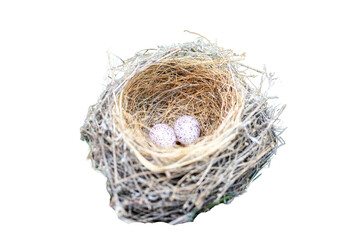 Cardinal bird nest with two eggs 