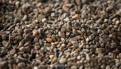 Pebble stone texture background. Pile of pebbles