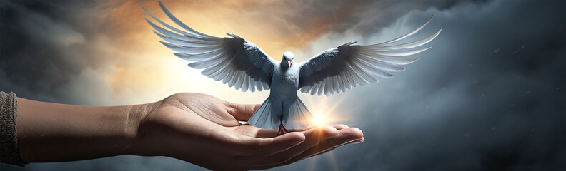 Conceptual image of human hand holding white dove on sky background. Peace Day concept. 