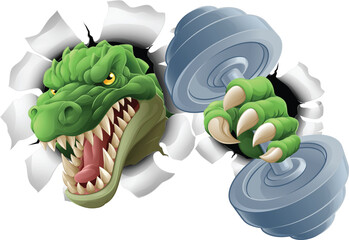 A crocodile, dinosaur or alligator lizard weight lifting trainer, exercise or body building gym cartoon sports mascot holding weights dumbbell © Christos Georghiou