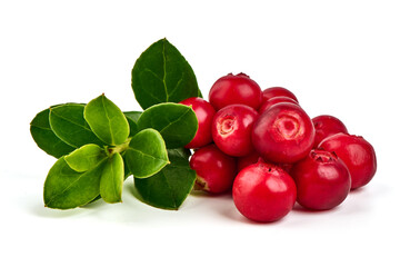 Wild cowberry, foxberry, lingonberry with leaves, isolated on white background. High resolution image.