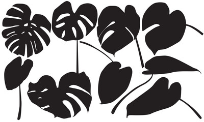 Decorative silhouette indoor plants. silhouette monstera deliciosa vector. silhouette leaf vector
