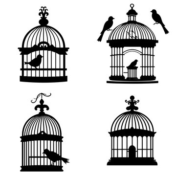 illustration of a bird cage vector