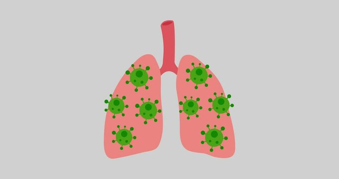 Animated coronavirus pandemic on lungs, also known as 2019-nCoV, covid-19.