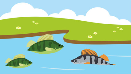 Perch and fish on the lake. Vector illustration in flat style