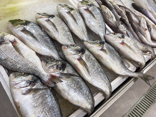 Top view of raw sea bream fish on ice on display at seafood fish market