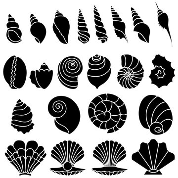 Seashell icon vector set. Shell illustration sign collection. Sea life symbol or logo.