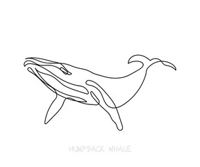 Line art of Humpback whale. February is Humpback whale awareness month. Minimal vector. Kids style art poster. Help us stop whaling.