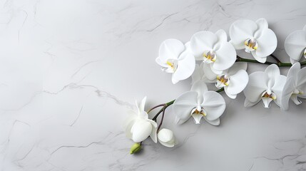 Photography of white orchids delicately placed on gray marble with natural veins running through,...