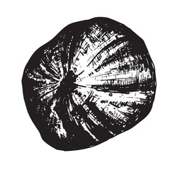 Hand-drawn black and white ink illustration. Fresh, ripe fig. Vector