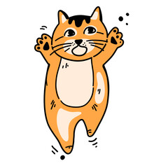 Cute cat expression sticker