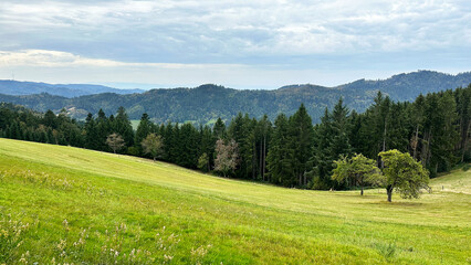 Fototapeta na wymiar Wandertour im Schwarzwald, wunderschöne Landschaft 