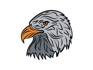 Eagle head drawing style vector design
