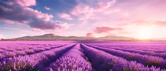 Fotobehang Purple lavender flower field with in the agricultural garden. © Ton Photographer4289