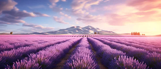Fotobehang Purple lavender flower field with in the agricultural garden. © Ton Photographer4289