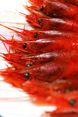 a wild Taiwanese vibrant red hokkai shrimp