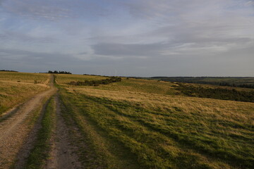 Fototapeta premium landscape with a field and clouds