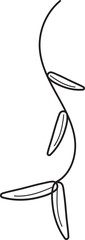 leaf hand drawn line art