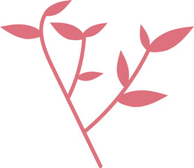 leaf hand drawn isolate