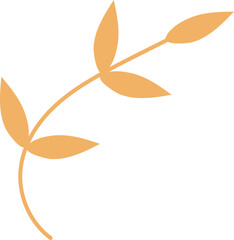 leaf hand drawn isolate