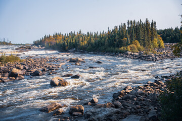 Les magnifiques forêt de la baie James au canada