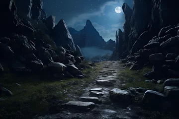 Foto op Aluminium Moonlight casting its soft glow on a rocky mountain path, creating an ethereal atmosphere as it illuminates the jagged terrain © Davivd
