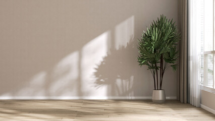Tropical green palm in white pot in sunlight from window, shadow on blank beige wall, parquet floor. Luxury interior design decoration, fashion, beauty, product display background 3D