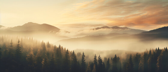 The landscape of pine forests on the mountains is interspersed with morning mist. natural background concept