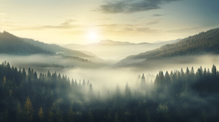 The landscape of pine forests on the mountains is interspersed with morning mist. natural background concept