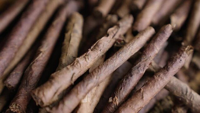 Closeup of a heap of dry Cigarillos tobacco leaf.tobacco, smoking concept