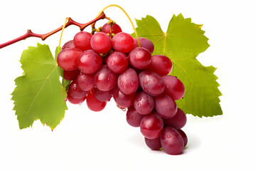 a sprig of red grapes with leaves isolated on white 