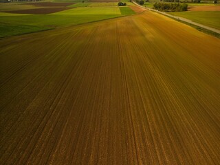 Fototapeta premium a plowed field with a lone tree near by in the background