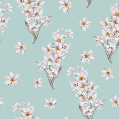 Seamless pattern with delicate hyacinths. Flower illustration