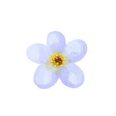 mini flower watercolor png isolated transparent background