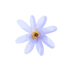 daisy mini flower watercolor png isolated transparent background