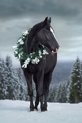 Black horse in forest with christmas wreath