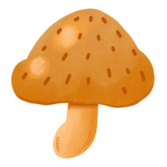 mushroom