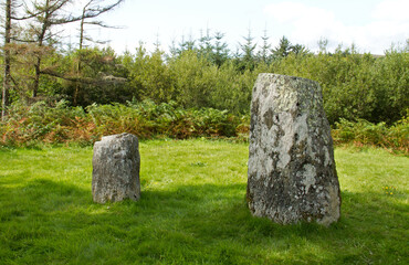 Two standing stones, a big and a smaller one, near a forest edge in Ireland