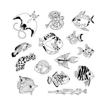Tropical reef fish vector set. Ocean and aquarium underwater life black outline fishes isolated on white background. Sea wild animals line art illustration