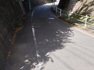 丘を切り開いて開けたアスファルトの斜面の上に木が垂れ下がっている。