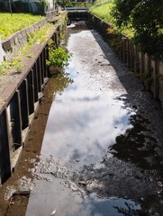 田舎の水路には浅い水がたまり、川底の泥が露出している。