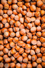 Hazelnut background. Organic healthy nuts. Close up.