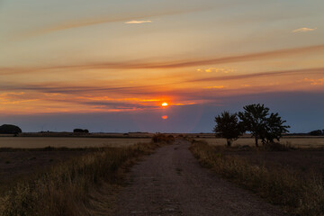 Sunset in farmland of Navarre