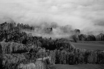 Moody autumn morning with fog laying in the forest, photographed from the sky in black and white