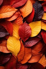 Vibrant Autumn Leaf Tapestry: Nature's Colorful Transition Captured in Detail. Generative AI