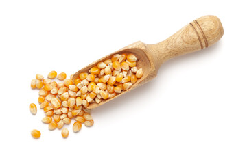 Organic Corn Seeds (Zea mays) or Makka in a wooden scoop, isolated on a white background. Top view.