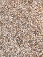 brown and gray sandstone rock background
