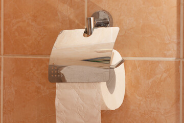 Wall mounted toilet paper with cover on wall