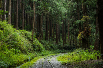 Train track in Alishan national park in Taiwan