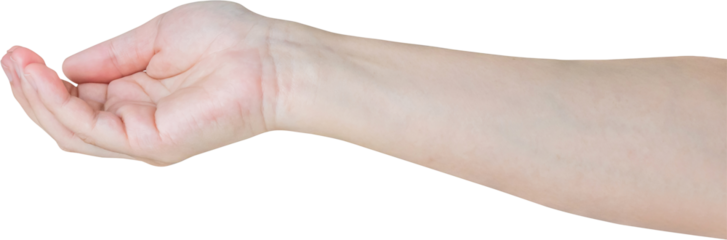 Woman hand gesture holding something isolated on white background